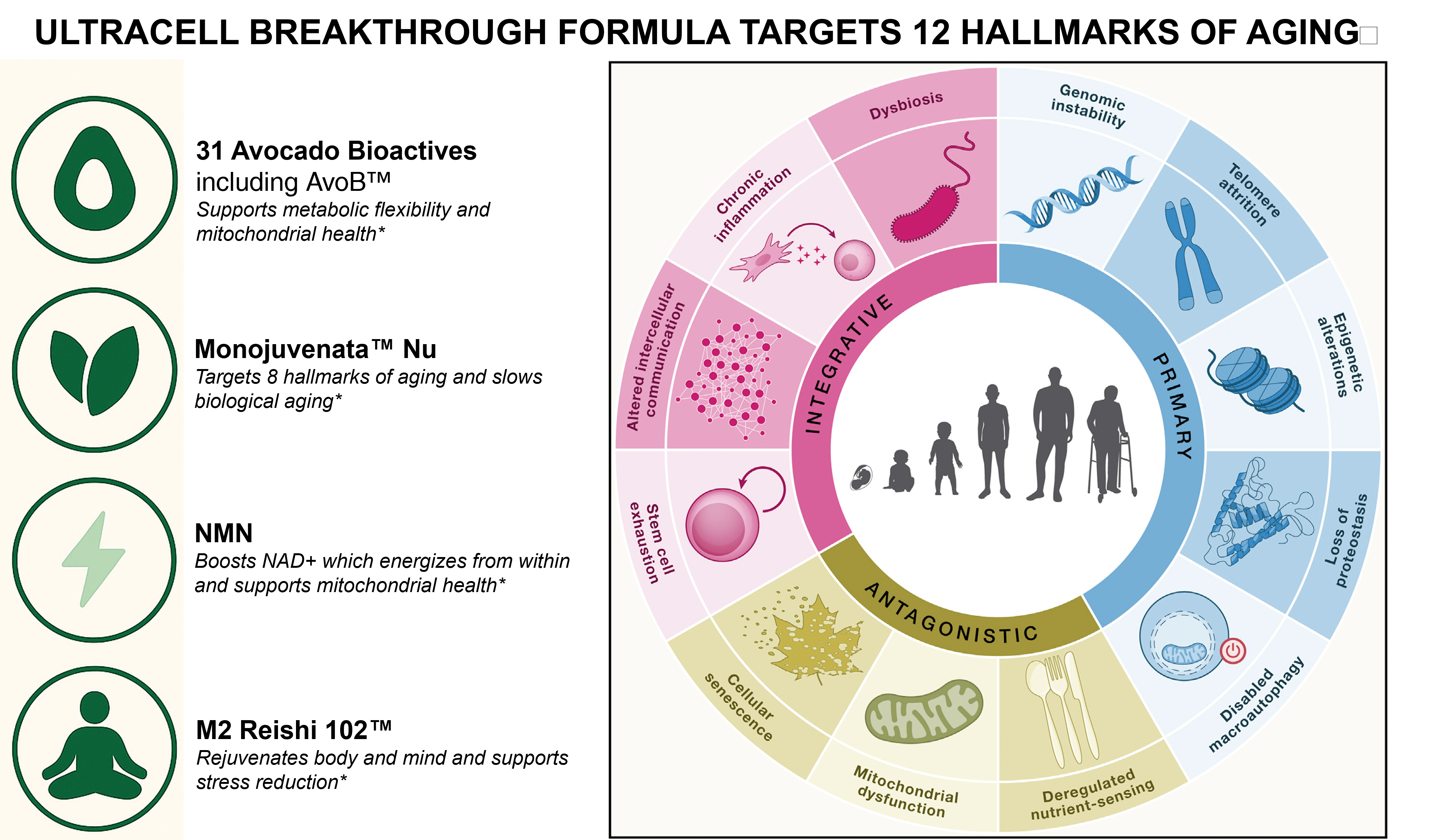 Metavo US Metavo Original ULTRACELL Exclusive Pre-Launch